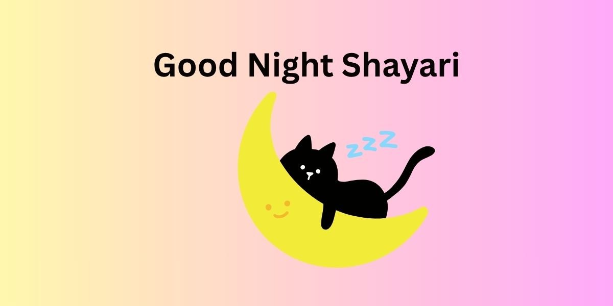 Good Night Shayari