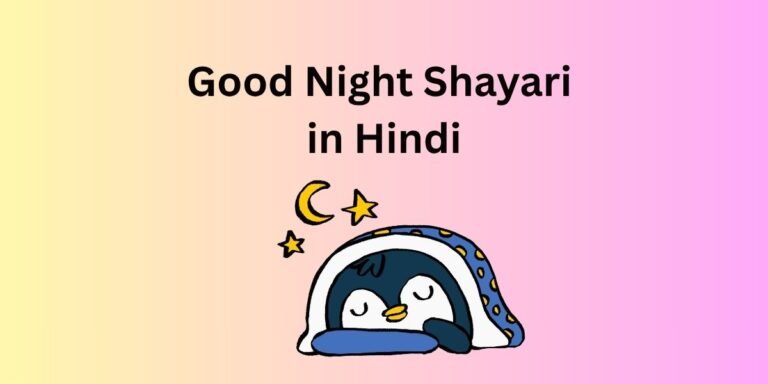 Good Night Shayari in Hindi
